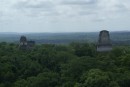 The view from the top of Temple IV looking toward Temples III, II and I.   Temple III,  the closest was the last temple to built @ 810AD.  aka  
Jaguar Priest Temple