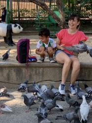 Michelle gave the rest of the bird food to this young boy who was delighted until the birds started landing on him,  scared him until he screamed