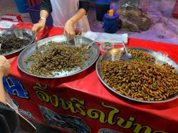 If none of the food suited your appetite there were various bugs for sale.  They actually do a pretty good business