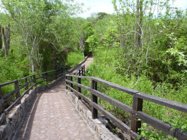 Many  paved hiking paths begin near the center of town