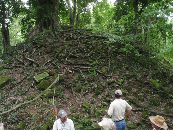 Under this mound of jungle probably sits a tomb or home of a royal court member waiting to be excavated.