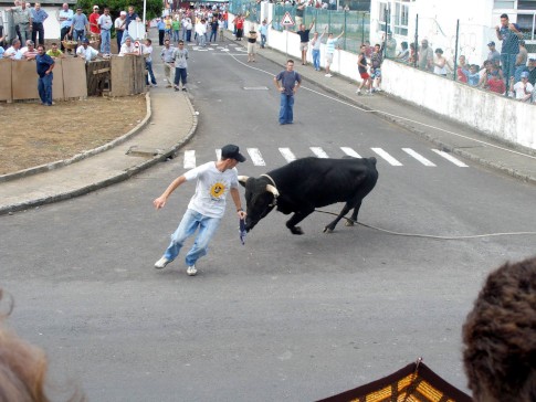 Bullfight at Praia 3