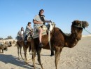 Our camel caravan