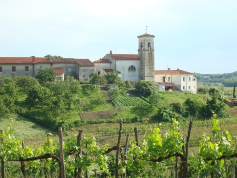 Brda, Slovenia vineyard