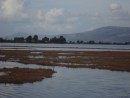 Messolonghi skirts the Klisova Lagoon, the largest natural wetland in Greece