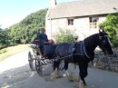Transport in Sark...either horse or tractor