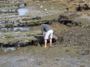 Oyster farming.......can we get a bag ?