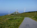 Large numbers of wind turbines in Spain...there are thousands along the coast.
