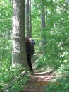 Shy trail hiker