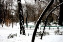 Cismigiu Park, Bucharest