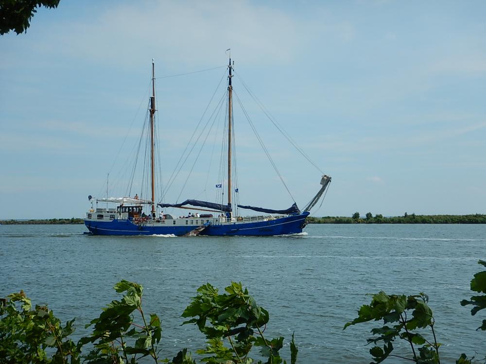 Många gamla skepp seglar fortfarande i Holland