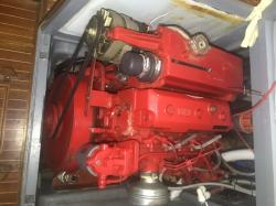 Bukh 36: Bukh paintwork is widely admired. This engine is 29-years-old..