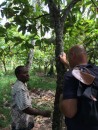 Sam and Paul discussing Cocoa production.
