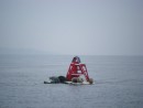 A seal on Port hand buoy