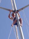 Patricia: Up the Mast