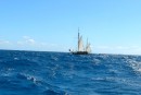A tall ship we passed on our way to English Harbour.