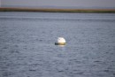 Mooring ball without a floating line.