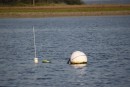 Mooring ball with a floating line.