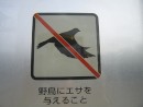 Crazy Signage 3: Birds not permitted to fly here, understand?!
