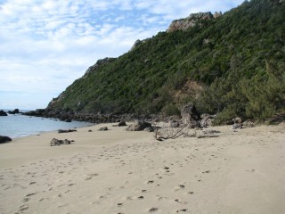 Beach at Great Keppel Island