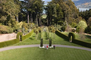 The grounds of Larnach Castle, Otago Pennisula, NZ.  View from the top turret.  The trees here will make tree-huggers out of most anyone.