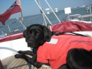 Bella while sailing from the River Orwell to the River Swale
