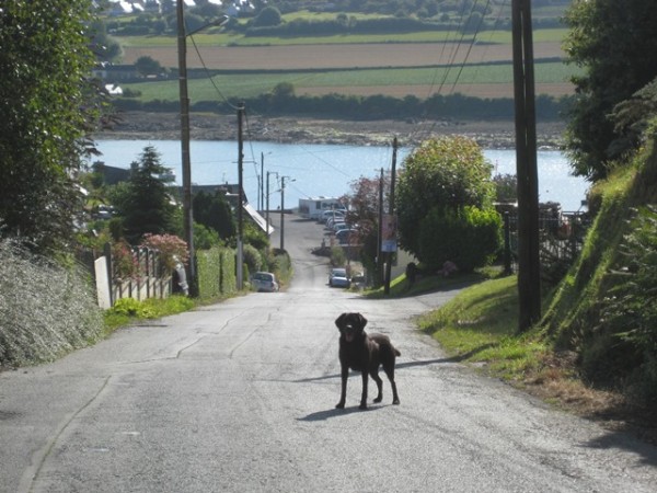 Road down to the quay at Roche Jaune