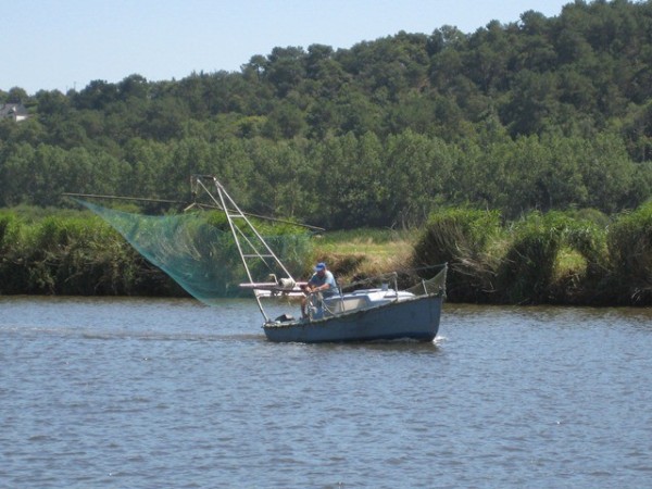 A popular way of fishing in the River Vilaine is a large net lowered on a pulley
