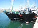 Tuna boats in Laredo