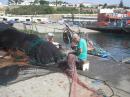 Fixing sardine nets in Sines