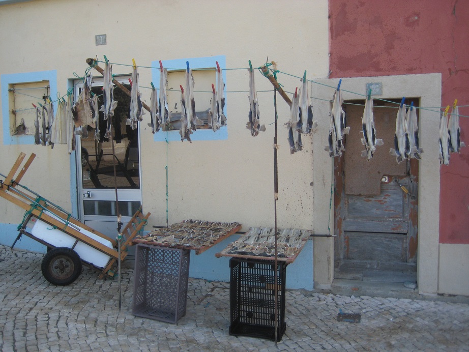 Drying fish in Peniche