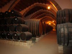 Marsala winery