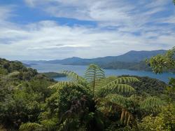 Looking down Queen Charlotte Sound