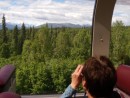 Looking for moose along the Alaska Railroad. A first class experience
