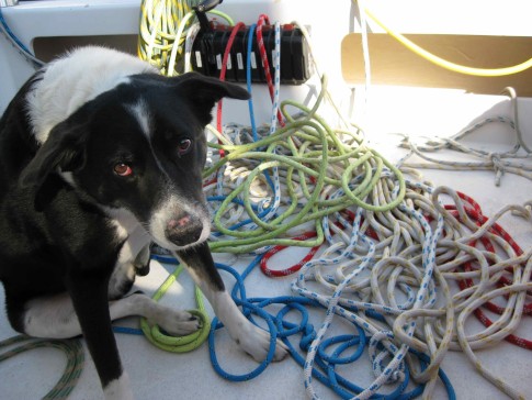 Mickey is feeling a little overwhelmed at all the work putting the lines back together after pulling the mast.