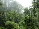 Monteverde, cloud forest 