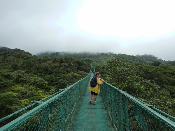 Hanging bridges, Monteverde