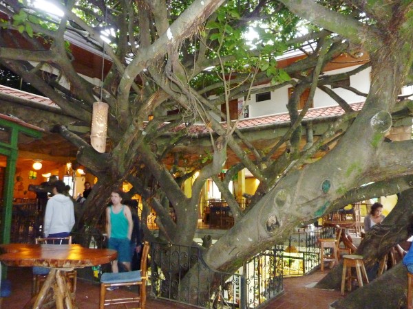 The Tree House Restaurant