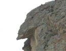 Condor head.  How did they carve or chisel that?