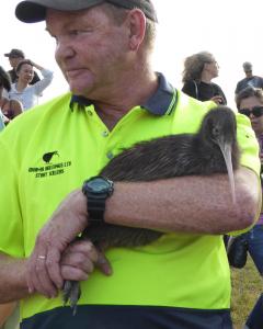 Kiwi Release Parua Bay