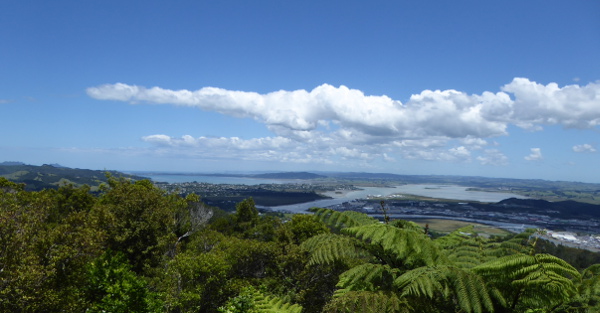 View from Mt Parihaka