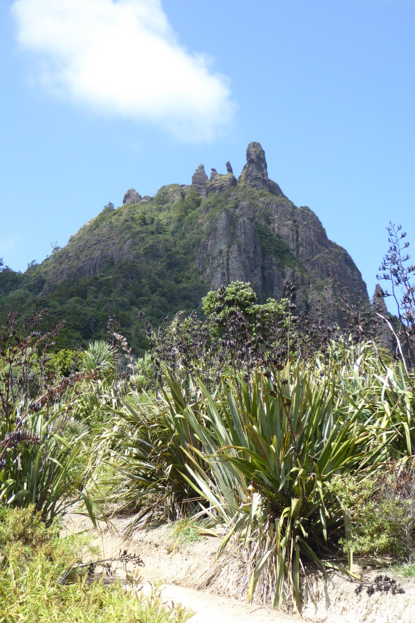 Mt Manaia