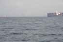 Panama City and the big ships