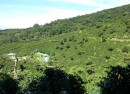 View of Finca Lerida.