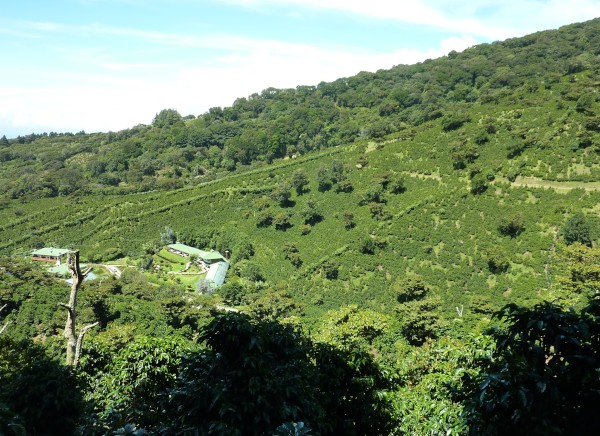 View of Finca Lerida.