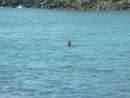 Tracy going for a swim in Salt Whistle Bay 