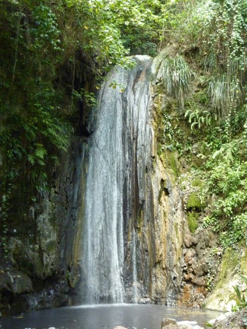 waterfall where Superman picked Lois a flower