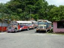 chicken or red devil bus, local bus, very inexpensive 