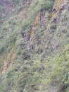 People making their way up Huayna Picchu (Wayna Picchu)

