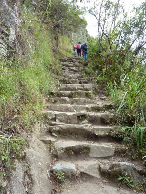 On the way up Huayna Picchu (Wayna Picchu)

